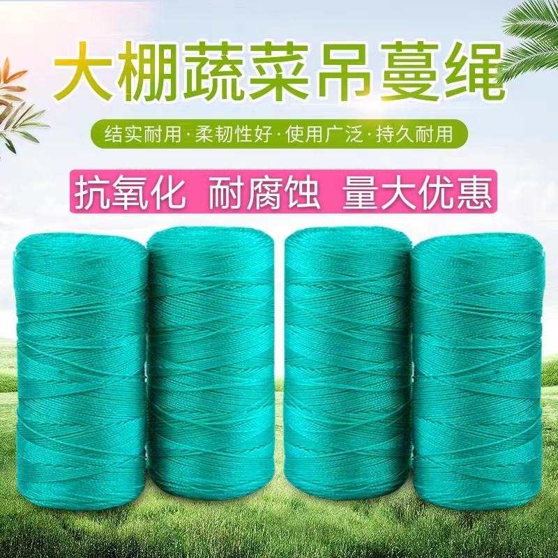 吊秧绳吊蔓绳爬藤网拉绳专用吊绳线大棚吊绳长度支持定做农用