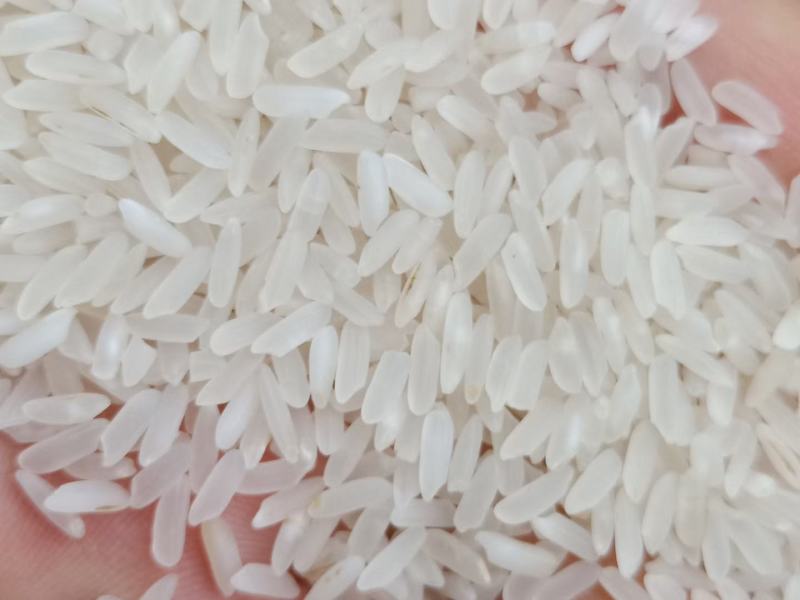 25年丰两优米质好口感好，颜色鲜艳亮丽，