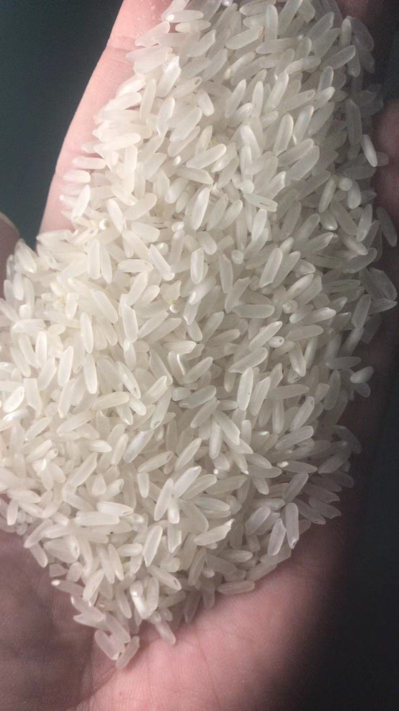 25年丰两优米质好口感好，颜色鲜艳亮丽，