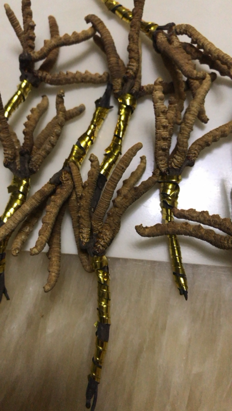 青海特产冬虫夏草老一根32元需要的朋友们联系我了