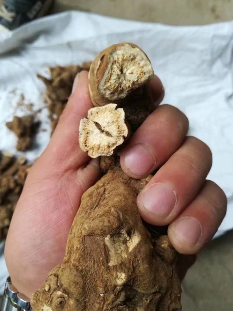 白术，（干白术）无硫10公斤包邮，品质保证，岔口好