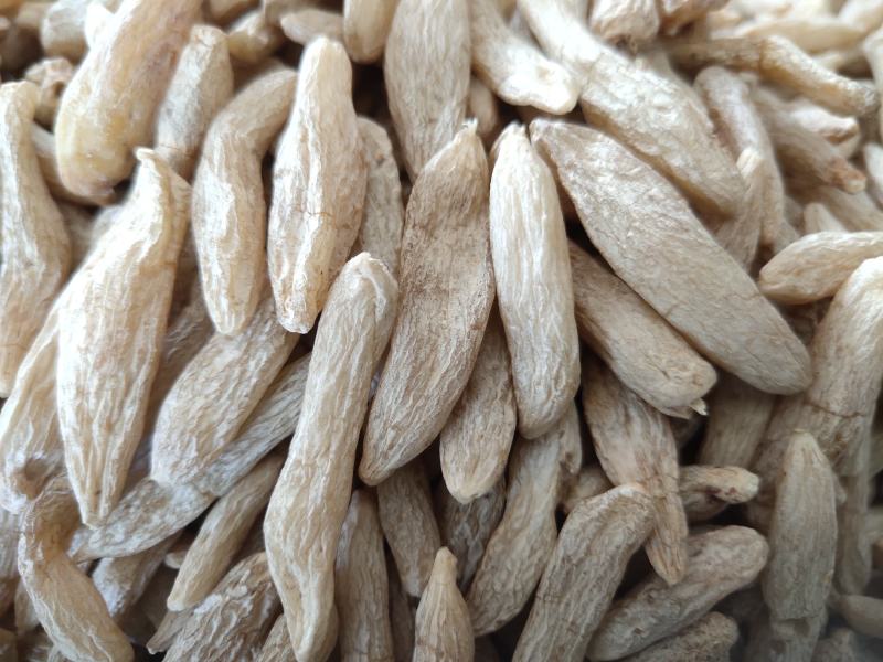 麦冬川麦冬精选货关书药业批发中药材1000g起批
