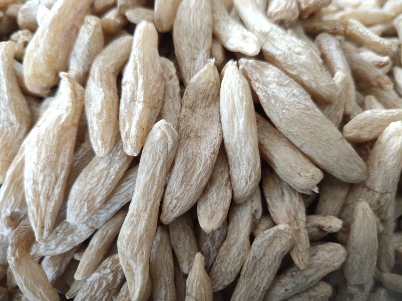 麦冬川麦冬精选货关书药业批发中药材1000g起批