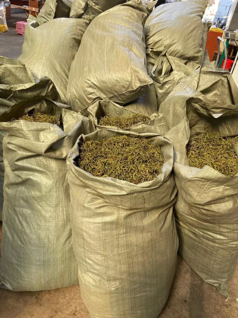 【野生化石草】高品质货大量批发长期供应大货