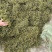 【野生化石草】高品质货大量批发长期供应大货