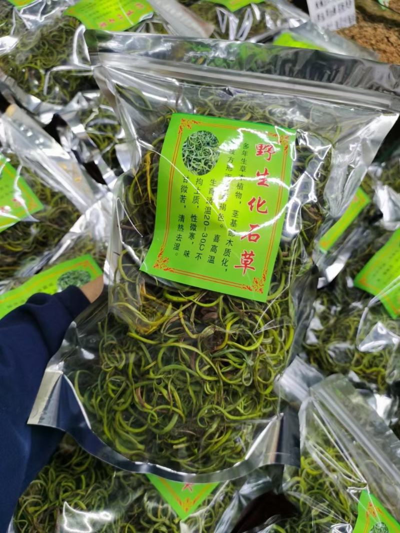 【野生化石草】高品质货大量批发长期供应大货