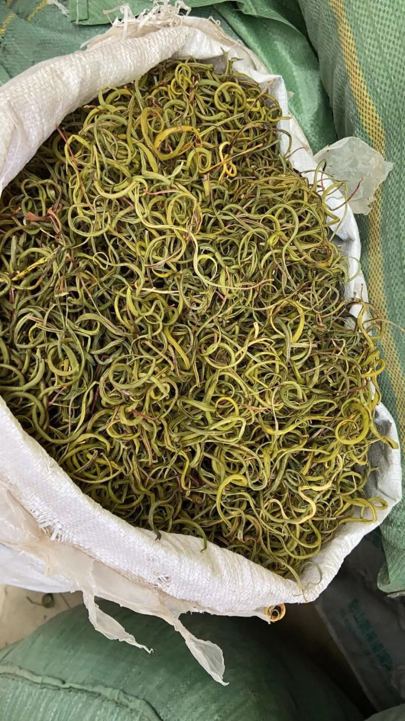 【野生化石草】高品质货大量批发长期供应大货