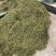 【野生化石草】高品质货大量批发长期供应大货