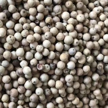 白胡椒粒产品一手货品足干，价格超实惠