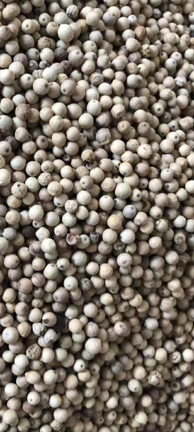 白胡椒粒产品一手货品足干，价格超实惠