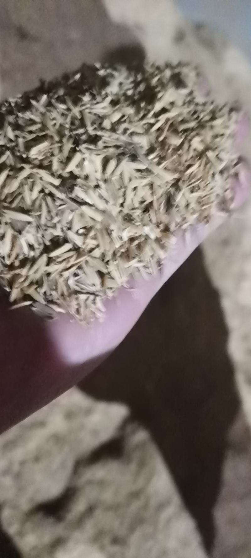 干净散装压缩稻壳大量供应