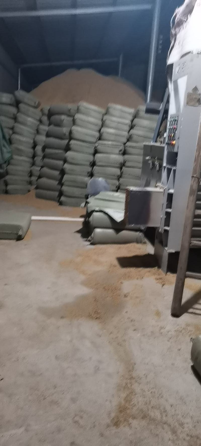 干净散装压缩稻壳大量供应