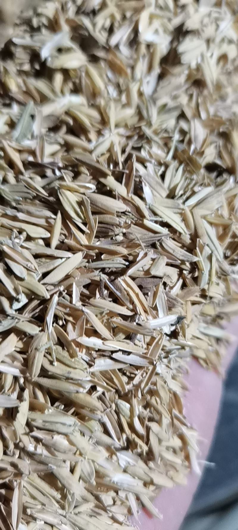 干净散装压缩稻壳大量供应