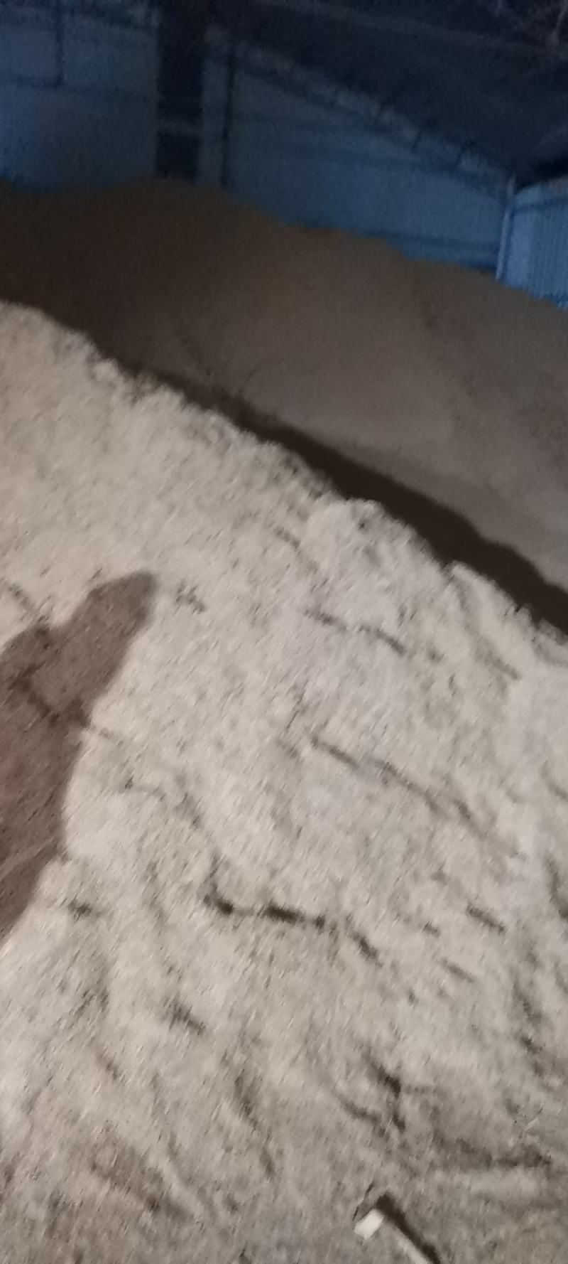 干净散装压缩稻壳大量供应