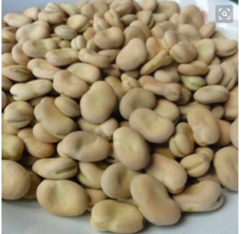 甘肃高原新鲜干蚕豆费可油炸散装（大豆，量大优惠