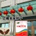 红糯16号高粱酿酒高粱高产红高粱新品种种子