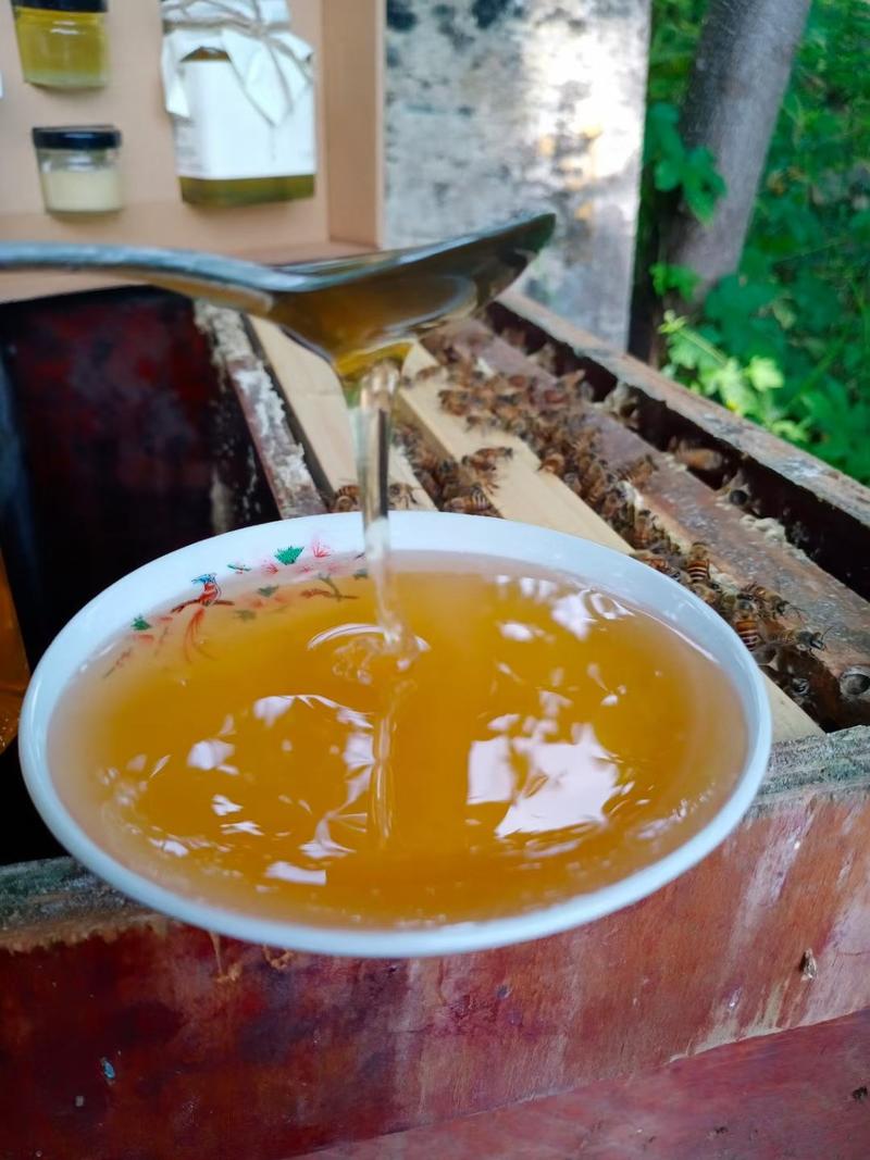 蜂蜜土蜂蜜，正宗散养零添加