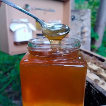 蜂蜜土蜂蜜，正宗散养零添加