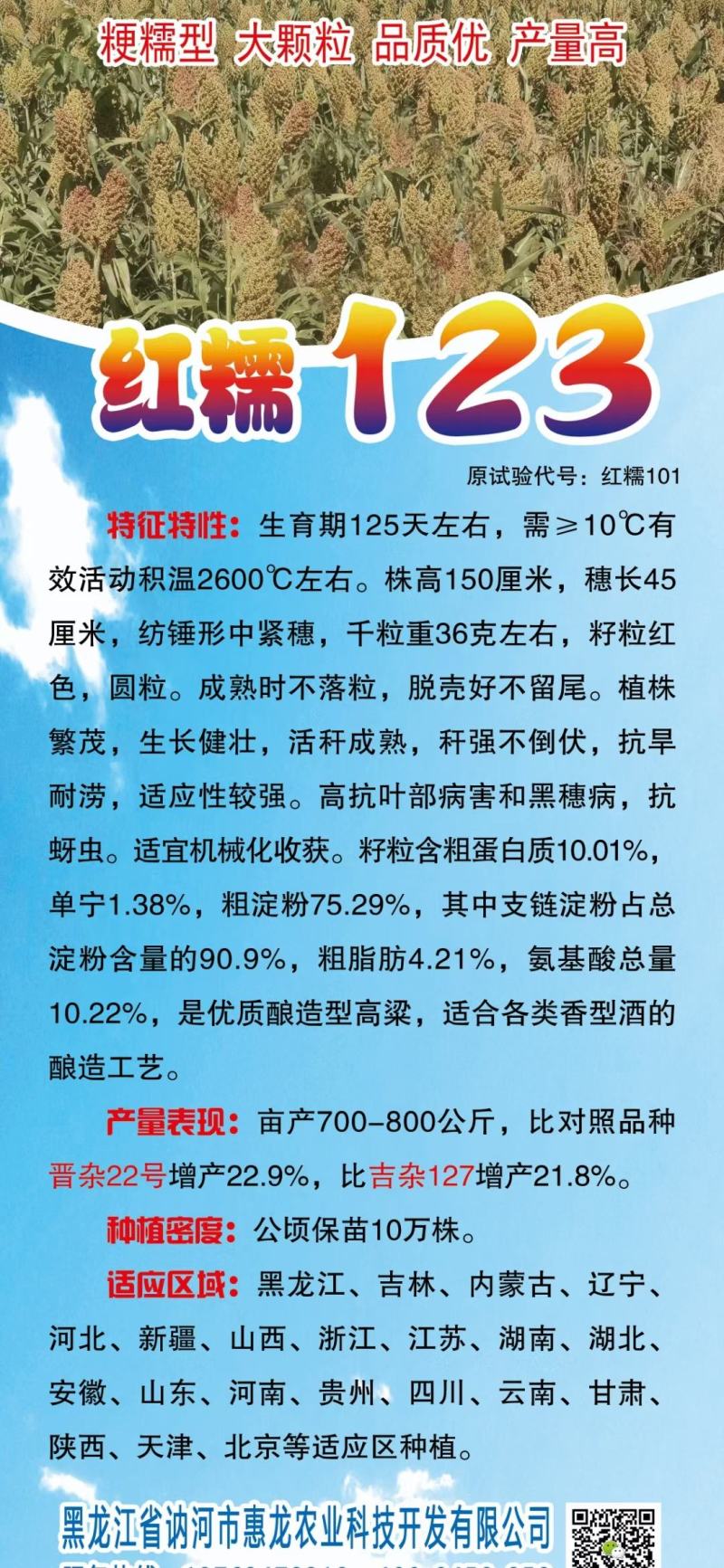 红糯16号高粱酿酒高粱高产红高粱新品种种子