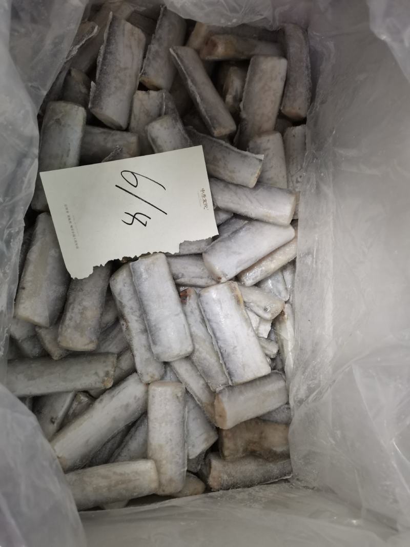 正宗舟山带鱼段，餐桌上必不可少的美味佳肴，欢迎前来合作