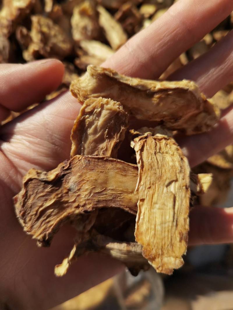 肉苁蓉新疆甜大芸软质淡肉苁蓉天然滋补