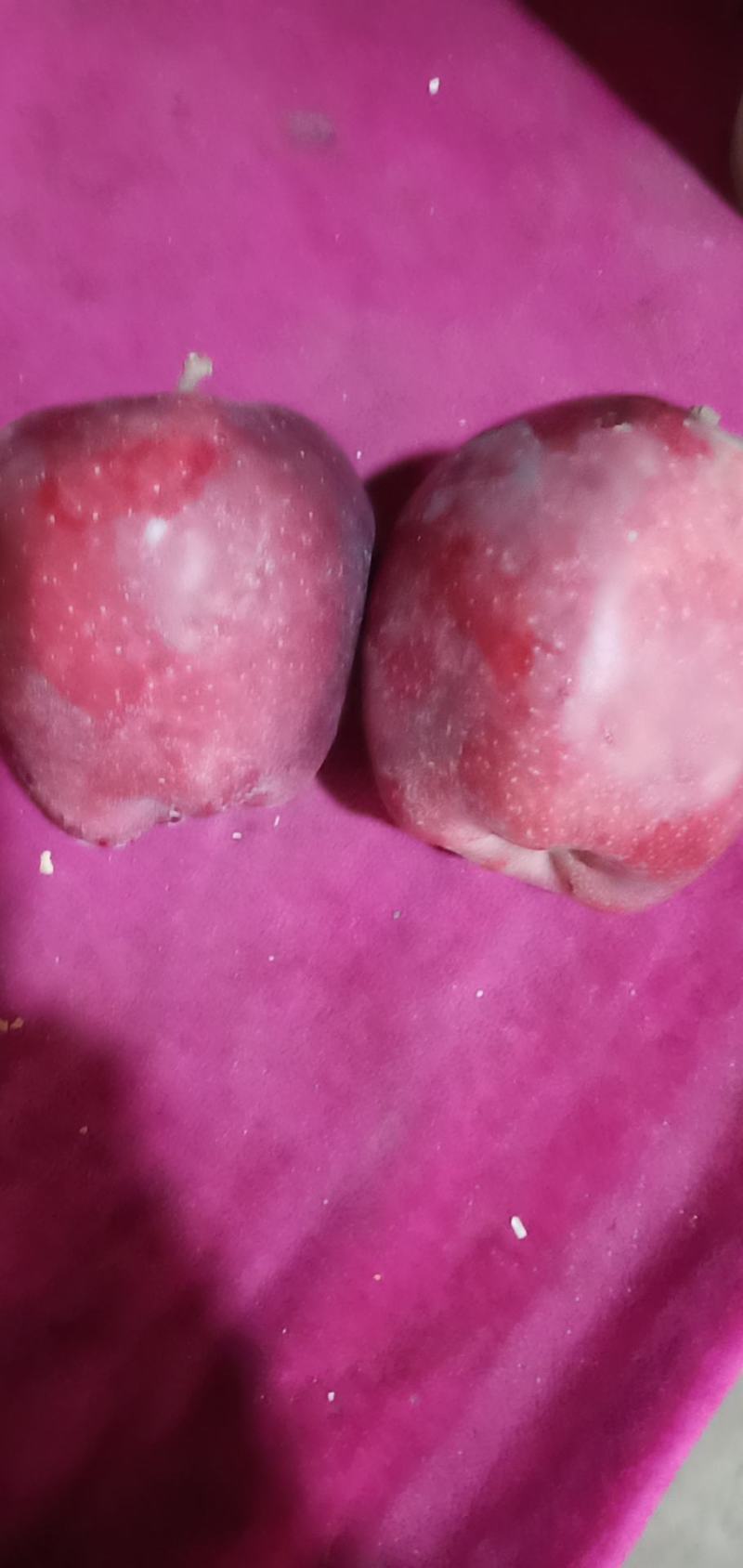 花牛，蛇果，冷库鲜果开始大量走货中，需要备年货的抓紧了。