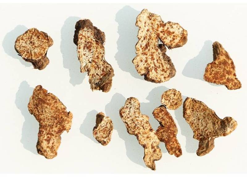 苍术正品内蒙红茬苍术朱砂点正宗东北种植苍术大货批