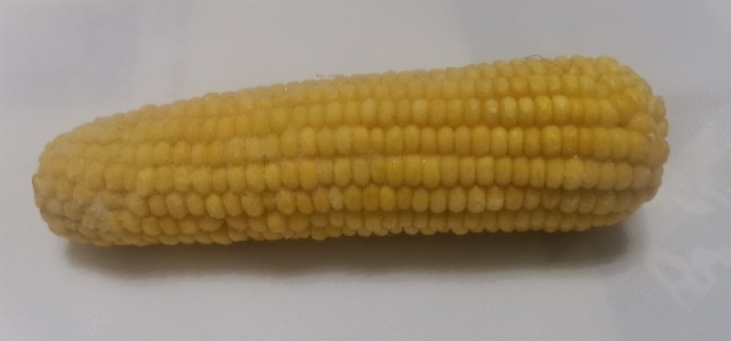 绿山农小黄粘玉米产地黑龙江