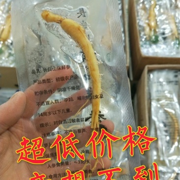 实惠装自用代卖[优质小保鲜参产地批发一手货源]
