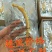 实惠装自用代卖[优质小保鲜参产地批发一手货源]