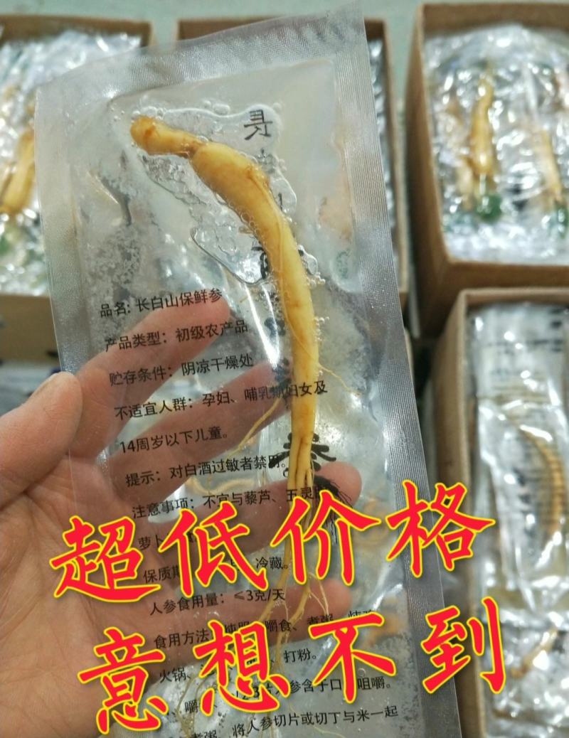 实惠装自用代卖[优质小保鲜参产地批发一手货源]
