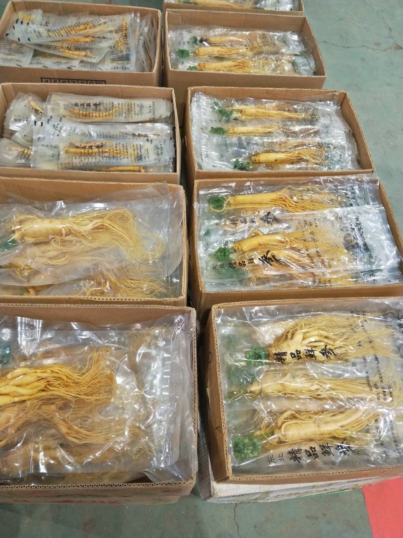 实惠装自用代卖[优质小保鲜参产地批发一手货源]