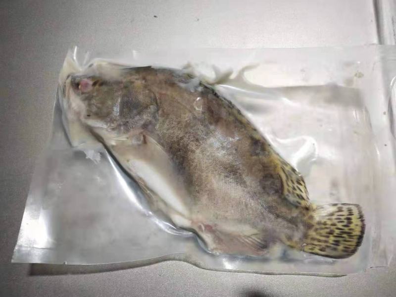 臭鳜鱼（臭桂鱼）厂家直批直销，也可做代加工，大小规格均有