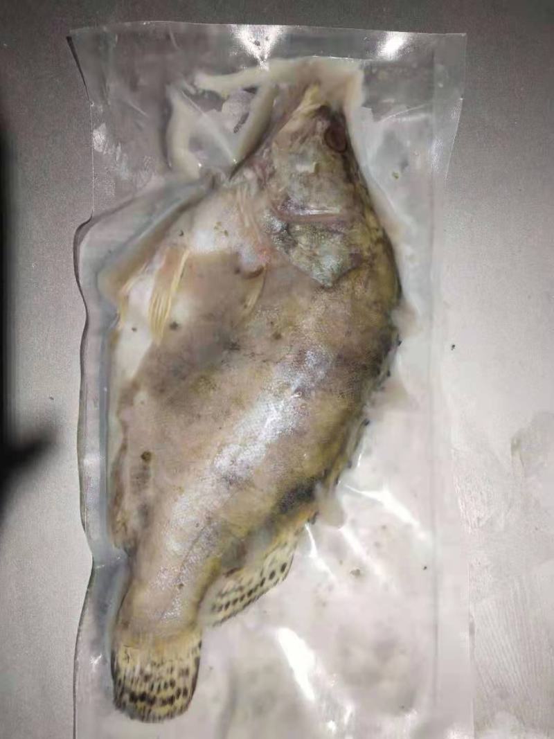 臭鳜鱼（臭桂鱼）厂家直批直销，也可做代加工，大小规格均有