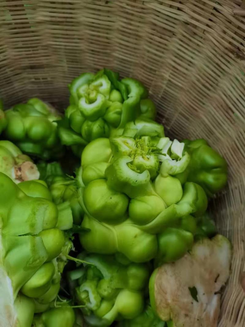 榨菜头，中华神菜，，，，，，