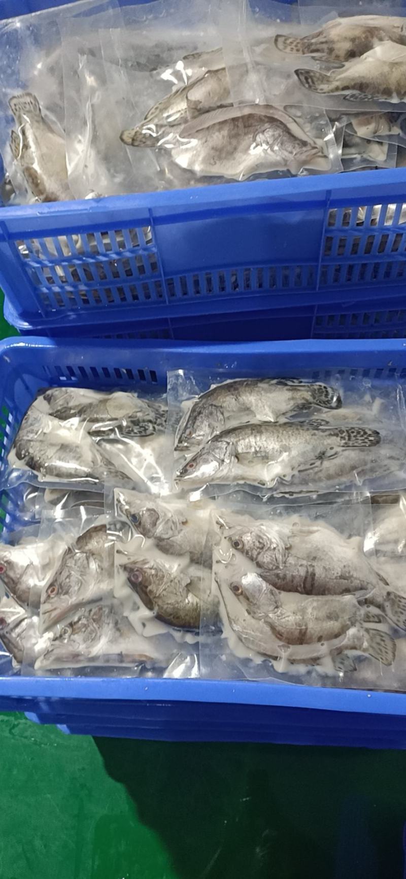 臭鳜鱼（臭桂鱼）厂家直批直销，也可做代加工，大小规格均有