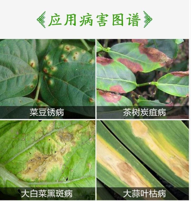 先正达世高10%苯醚甲环唑黑星病叶斑病斑点落叶病杀菌剂
