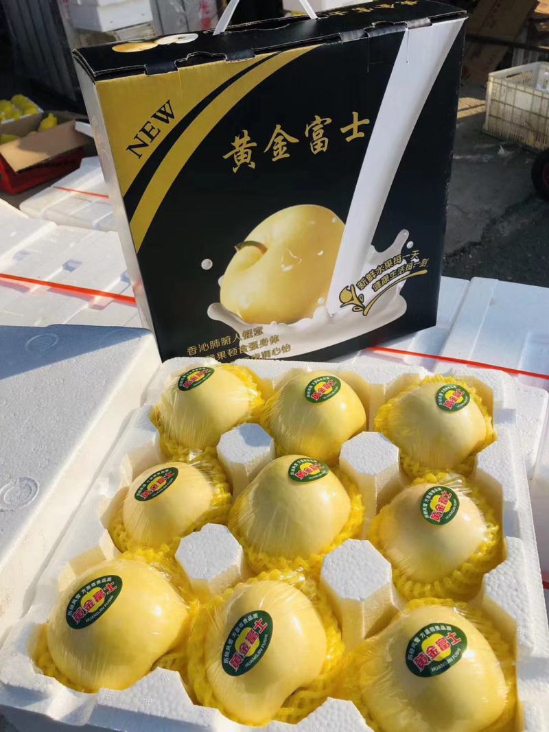 奶油富士苹果9个装精品礼盒