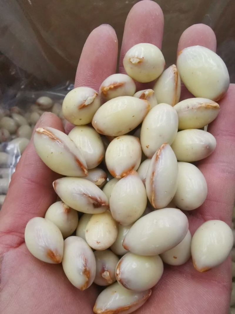酸奶巴旦木仁巧克力巴旦木仁香脆可口风味浓郁