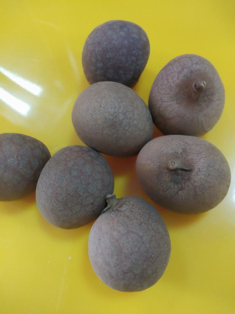 桂圆，桂圆干，高州特产正宗储良龙眼干，果粒大，货源充足。