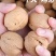 果之缘生鲜电商185纸皮核桃