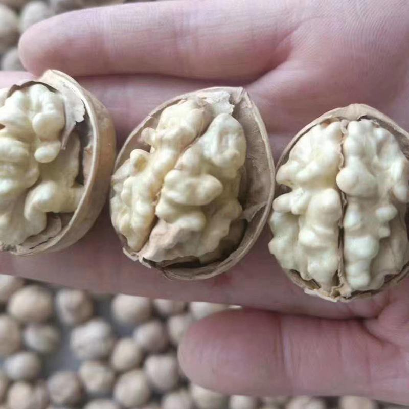 果之缘生鲜电商185纸皮核桃