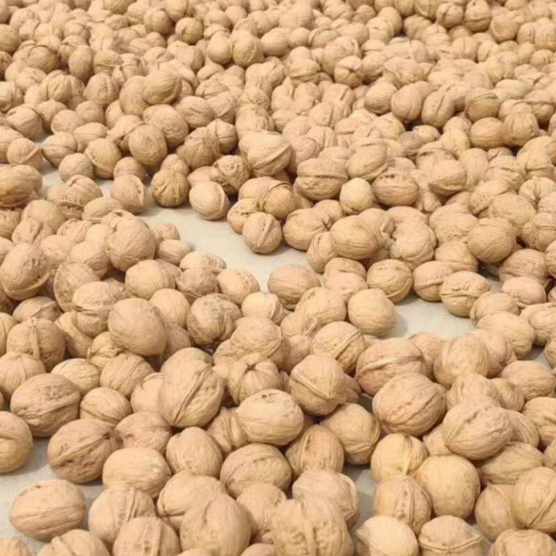果之缘生鲜电商185纸皮核桃