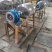 小型实验室卧式矿石搅拌球磨机干湿棒磨制砂磨粉生产设备