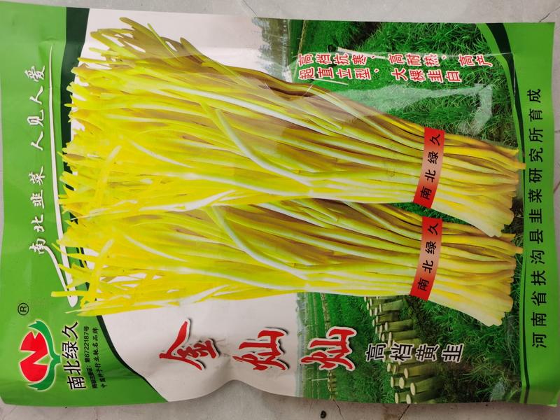 韭菜种子韭黄高档种子金灿灿专业韭菜育种30年，品质保证