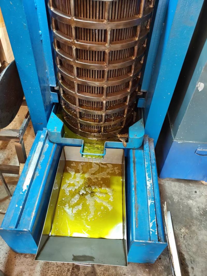 邵阳县茶油之乡-高山珍珠山茶油浓香醇厚纯茶油批发零售代理