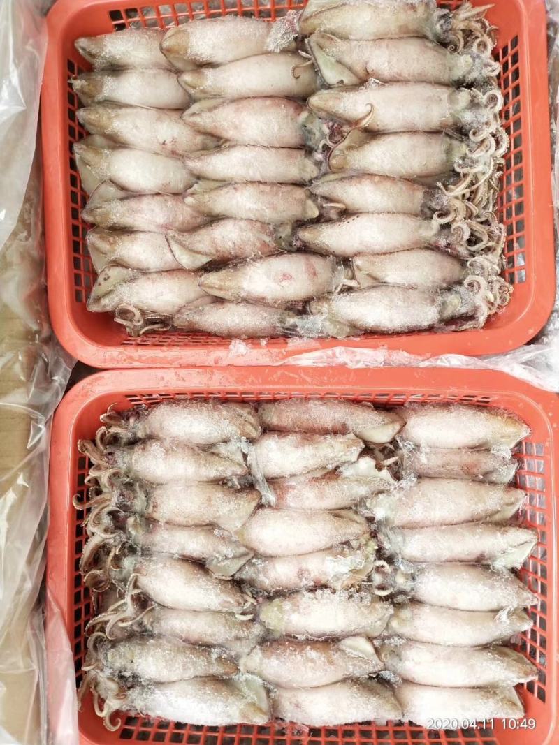 膏鱿，子乌，熟冻产品，膏鱿，子乌，熟冻产品