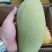 广西百色甜心芒果青皮可生吃新鲜当季水果助农10斤包