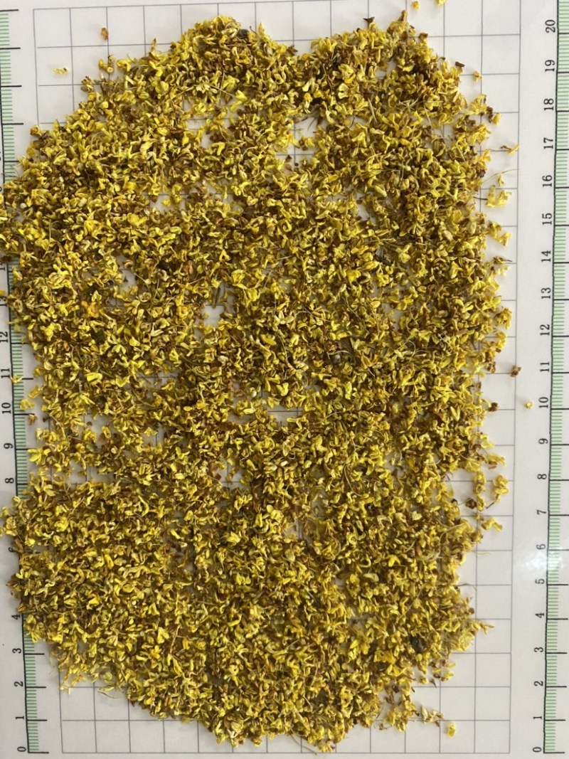 产地直销桂花批发零售