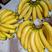 香蕉云南蕉量大电商可谈，地区招代理，质量保证